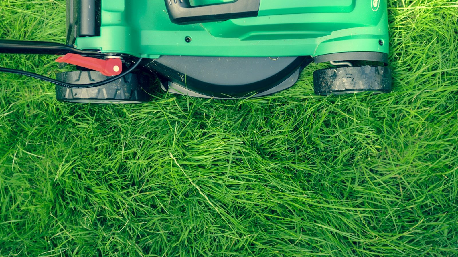Green and black lawnmower on a freshly cut green lawn